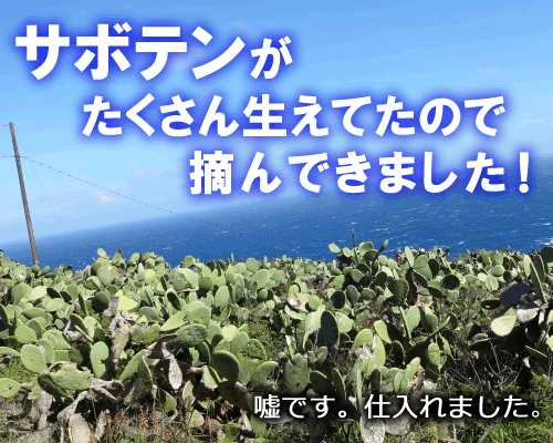 探偵カフェのサボテン料理